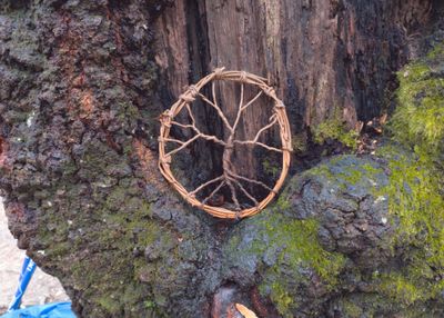 Celtic Knotwork Tree