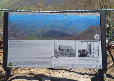 Albert Fire tower Sign