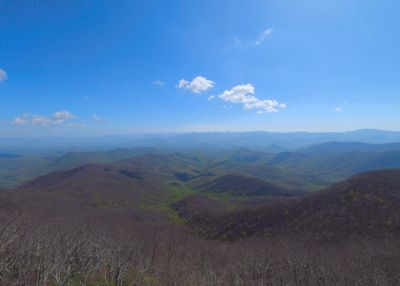 Albert Fire tower View