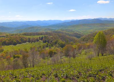 View from Max Patch