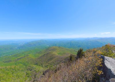 View