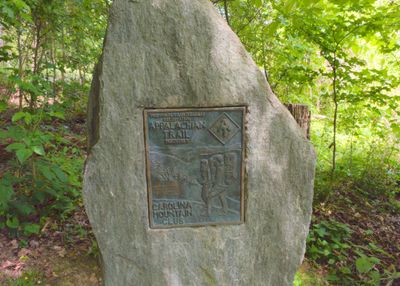 Hot Springs Plaque