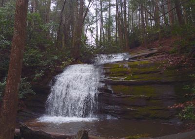 Long Creek Falls