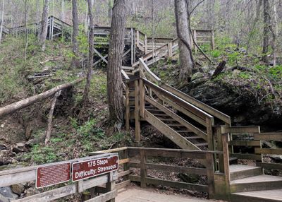 Start of the 604 steps