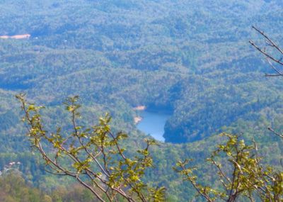 Lake in the distance