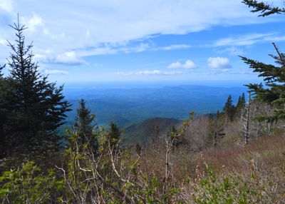 Another view