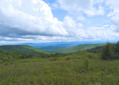 View