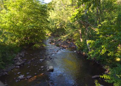 River in Damascus