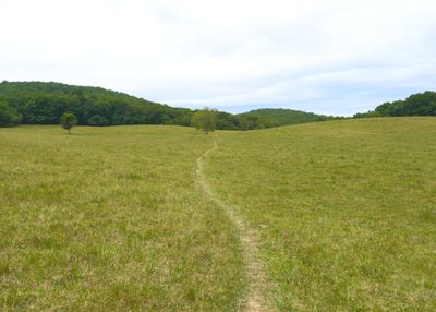 Pasture