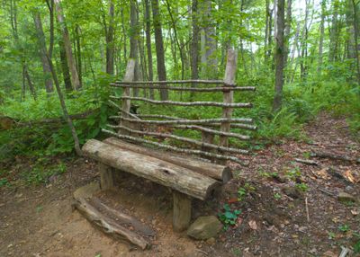 Bench
