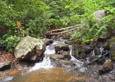 Comers Creek