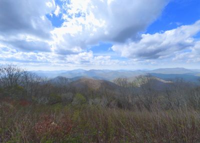 Siler Bald View