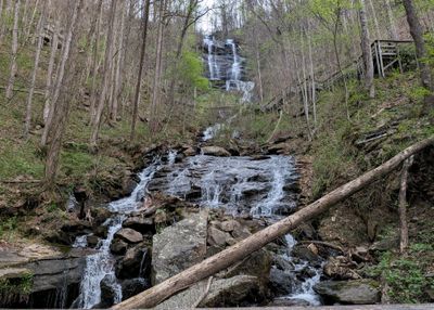Amicalola Falls
