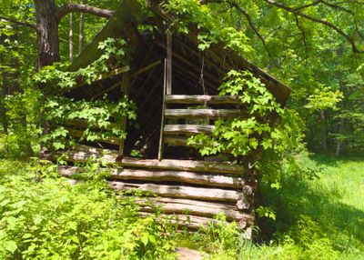 Old barn