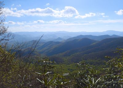View