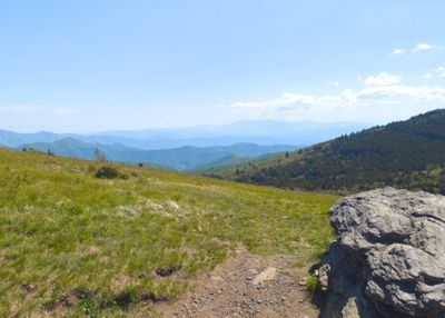 View from Roan Mountain
