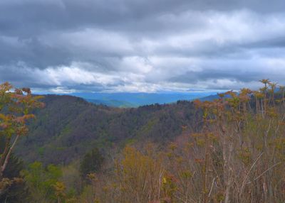 Cloudy view from Newfound Gap