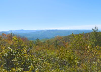 View of North Carolina