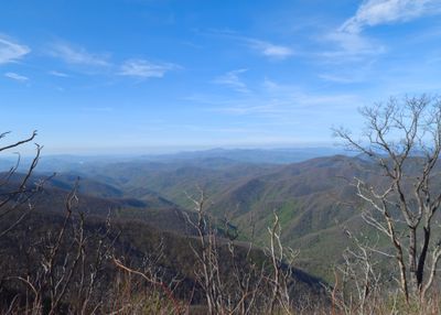 View