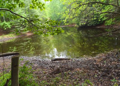 Dammed Pond