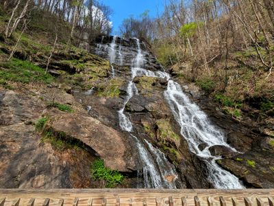 Amicalola Falls Bridge View